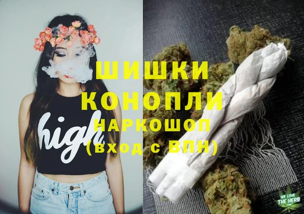 винт Липки