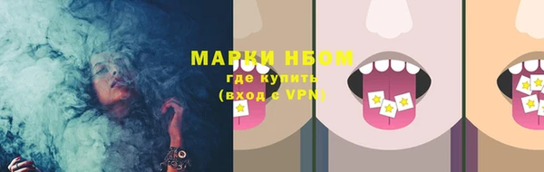 винт Липки