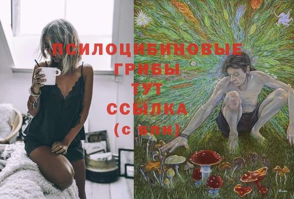метадон Лиски