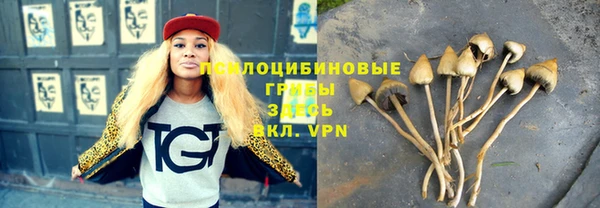 кокс Медвежьегорск