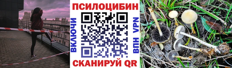 купить   Муром  Псилоцибиновые грибы ЛСД 