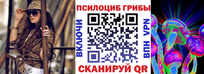 Галлюциногенные грибы Psilocybe Муром