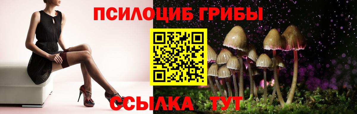 Галлюциногенные грибы Psilocybine cubensis  Псилоцибиновые грибы Cubensis  Вход с VPN  Муром 