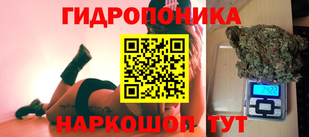 Марихуана планчик  Вход с VPN  Бошки Шишки марихуана  Бошки марихуана гибрид  Муром  Марихуана Ganja 